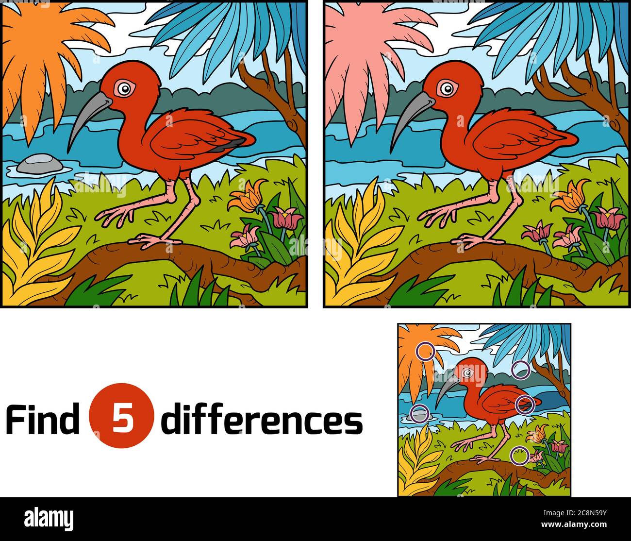 Find Differences School Find differences education game for children, Scarlet ibis Stock Vector ...