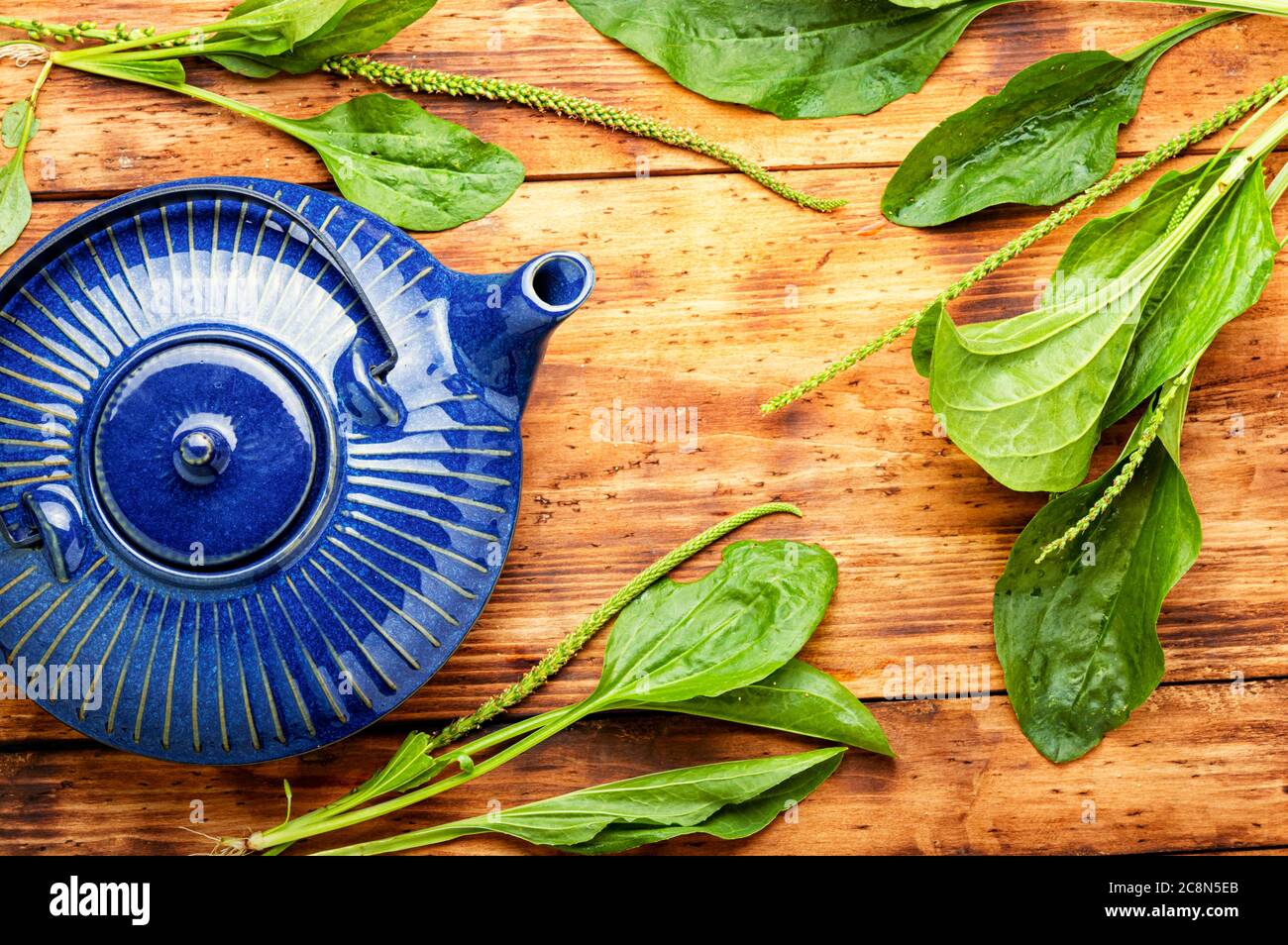 Healing herbal tea from plantain.Teapot with medicinal herbal tea.Herbal medicine Stock Photo