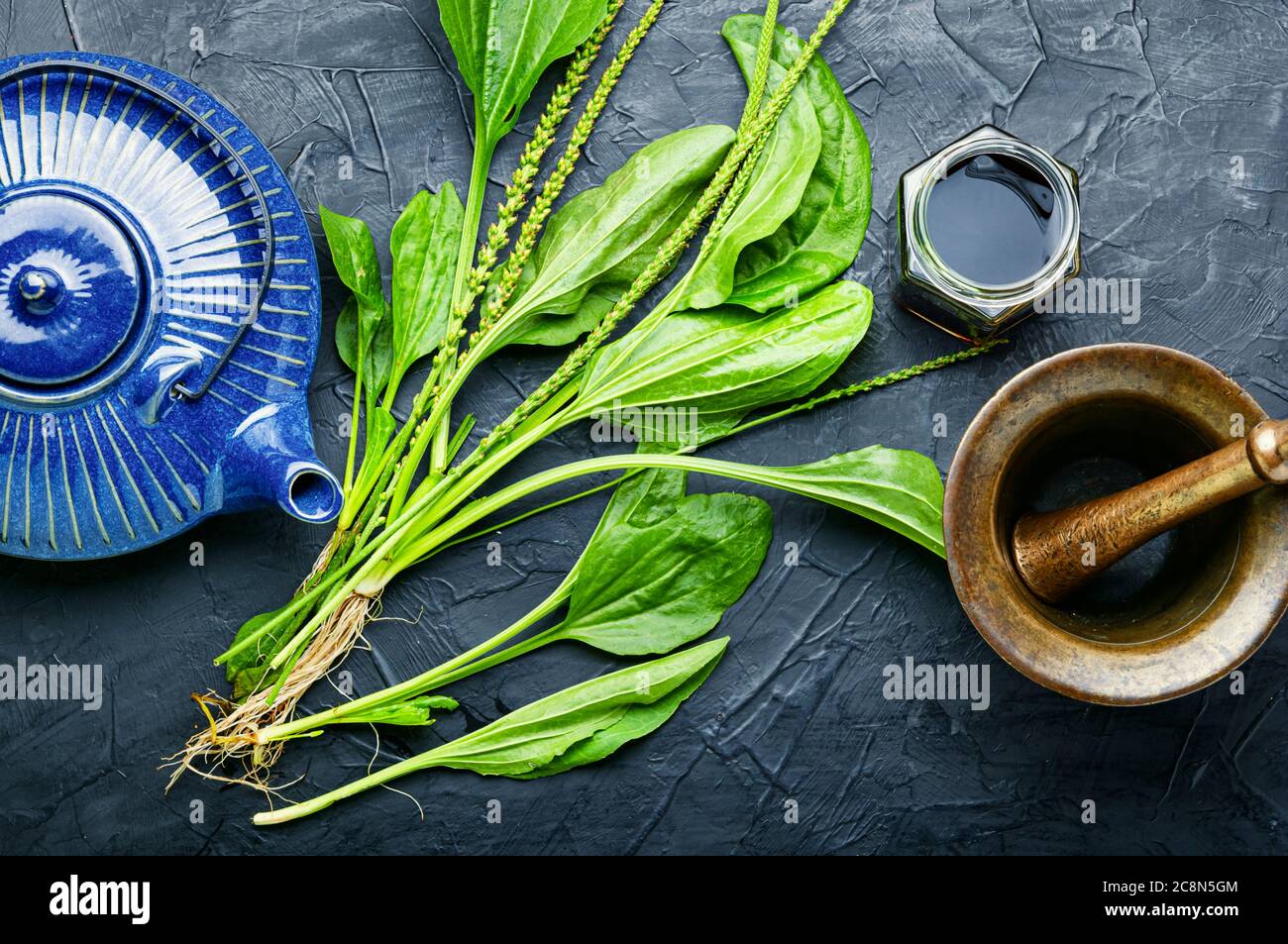 Healing herbal tea from plantain.Teapot with medicinal herbal tea.Herbal medicine Stock Photo