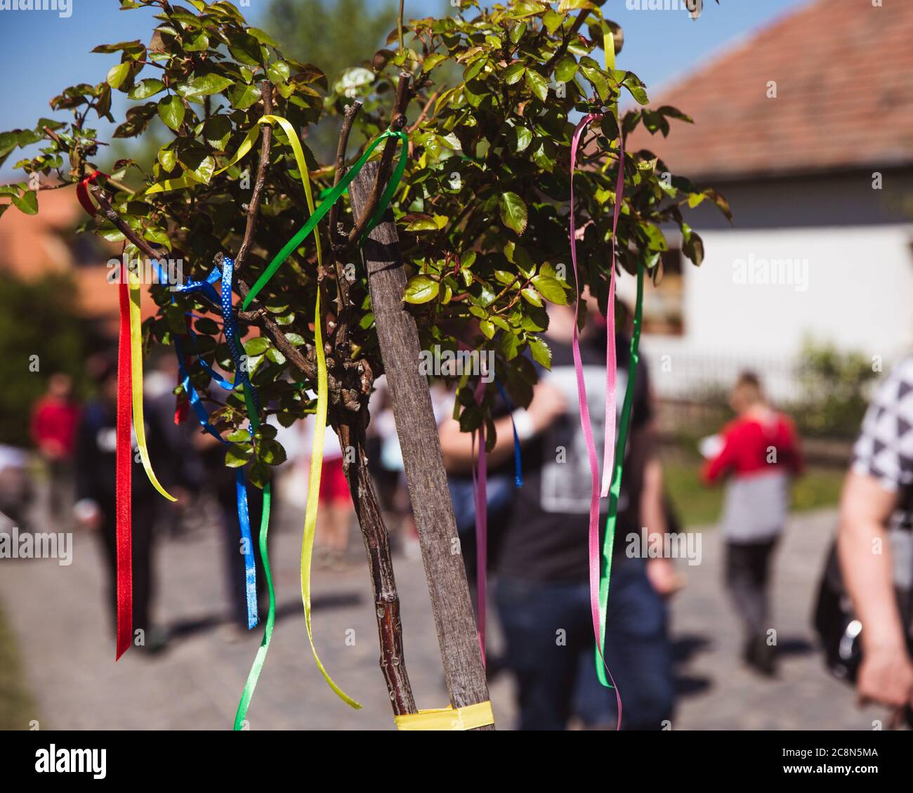 Decorative colored ribbons hanging on tree in HOLLOKO, HUNGARY Stock Photo Alamy