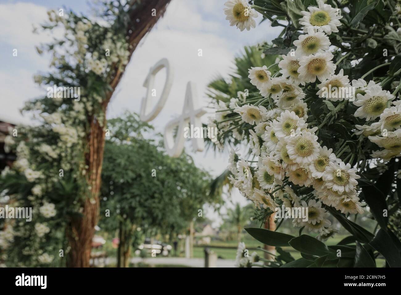 Shot beautiful wedding arch hi-res stock photography and images - Alamy