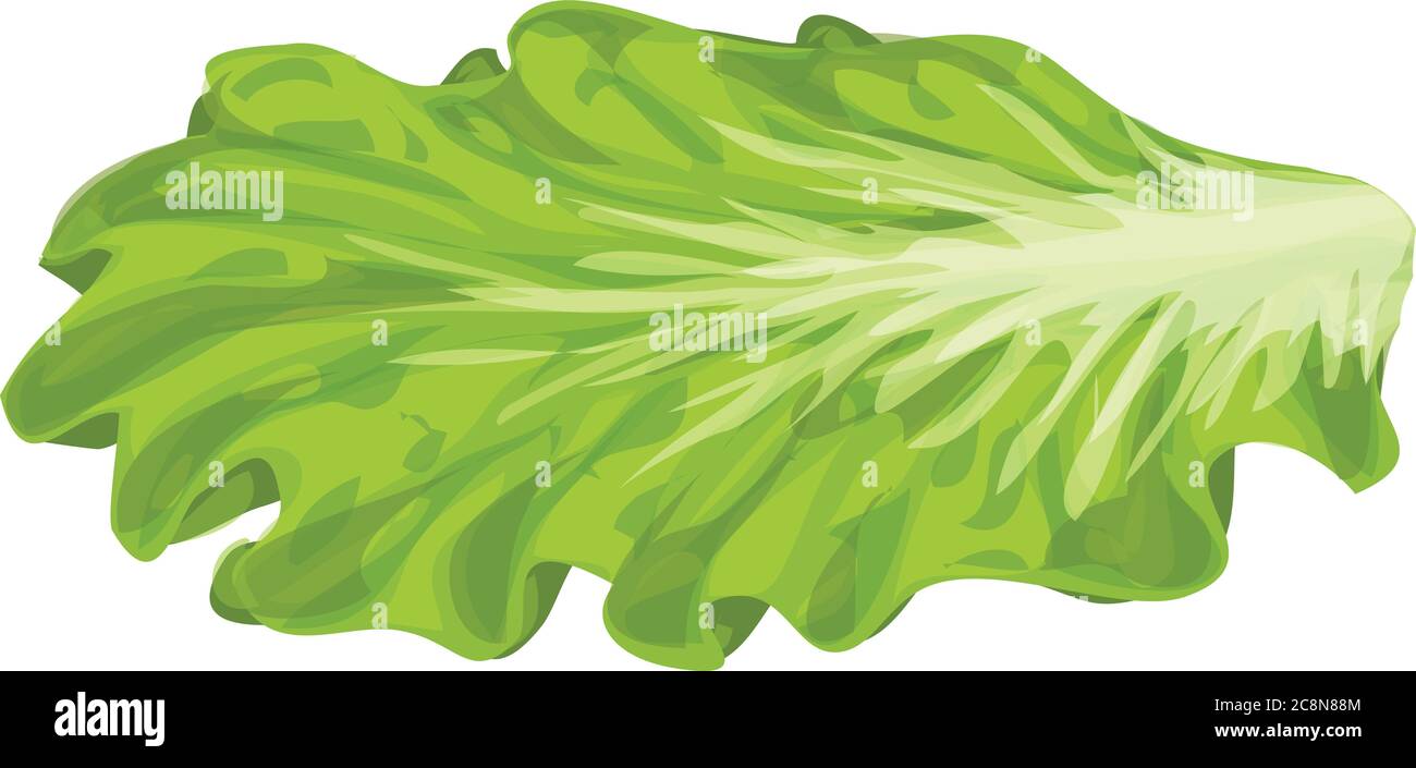Burger salad icon. Cartoon of burger salad vector icon for web design  isolated on white background Stock Vector Image & Art - Alamy