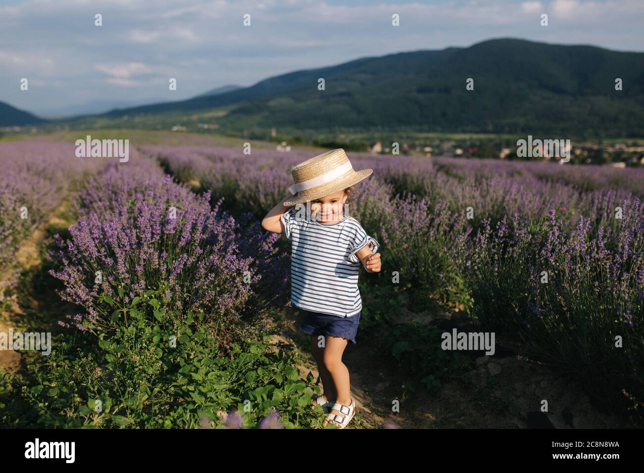 Happy little girl in straw hat walking in summer lavender field Stock ...