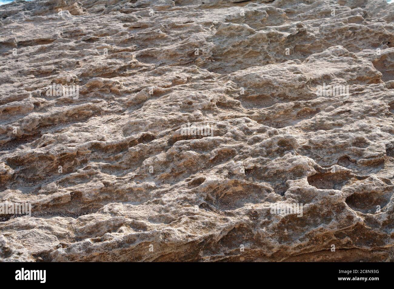 Surface sandy rock. Rocky shore of the Caspian Sea Stock Photo - Alamy