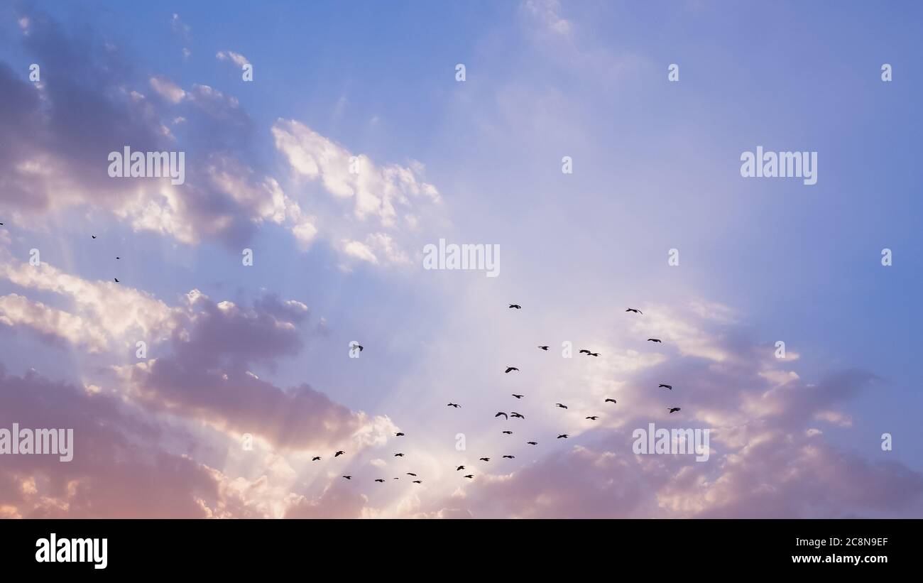 Rays of light pass through clouds on a blue and pink sky at sunset Stock Photo
