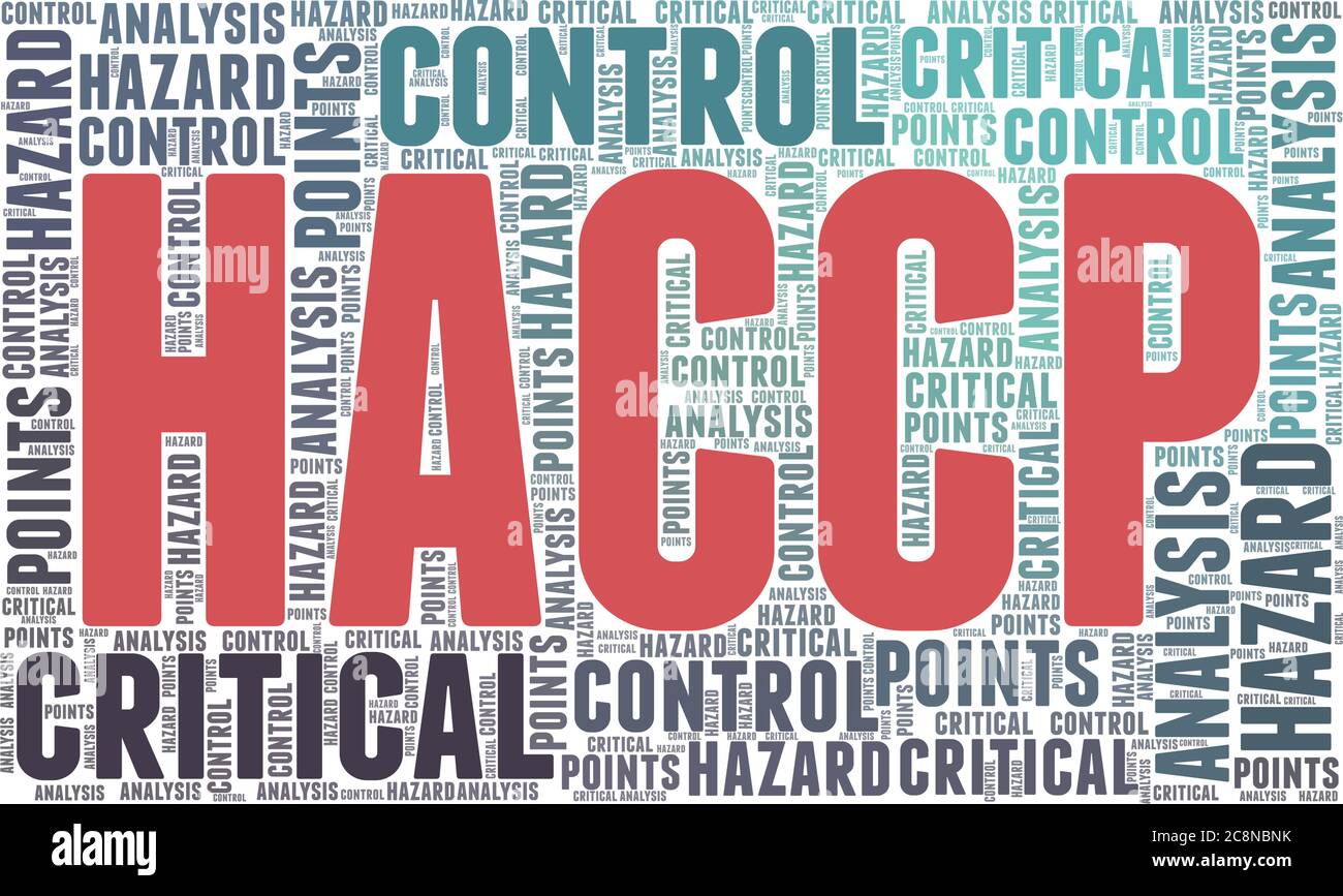 HACCP word cloud isolated on a white background Stock Vector