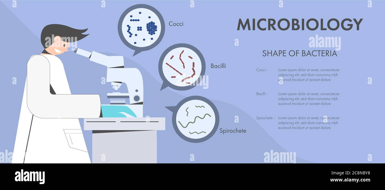 Scientist or microbiologist examine bacteria under microscope. Concept