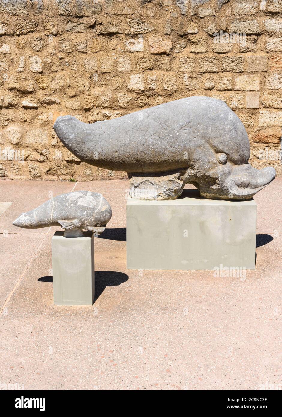 Dolphin sculpture at the Archaeological Museum of Rhodes in the former hospital of the Knights of Saint John, Rhodes Town, Rhodes Island, Greece Stock Photo