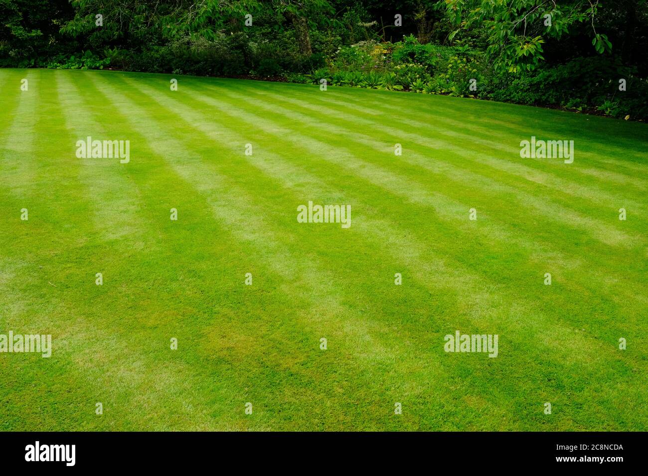 Striped lawn hi-res stock photography and images - Alamy