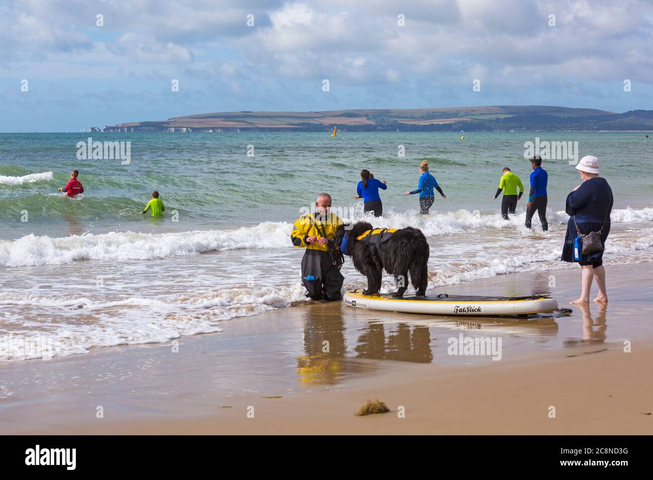 Poole, Dorset UK. 26th July 2020. UK weather: very windy, but warm and sunny with rough waves at Poole beaches. Dogs and their owners have fun in the sea. Dog training - Newfoundland dog learning to paddleboard paddle board. Credit: Carolyn Jenkins/Alamy Live News Stock Photo