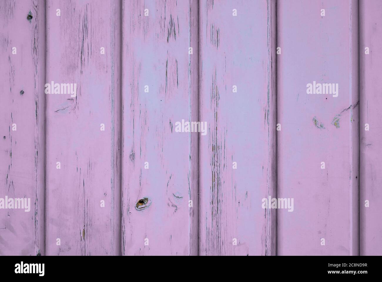 Light purple coloured background of aged wood with vertical planks. Stock Photo