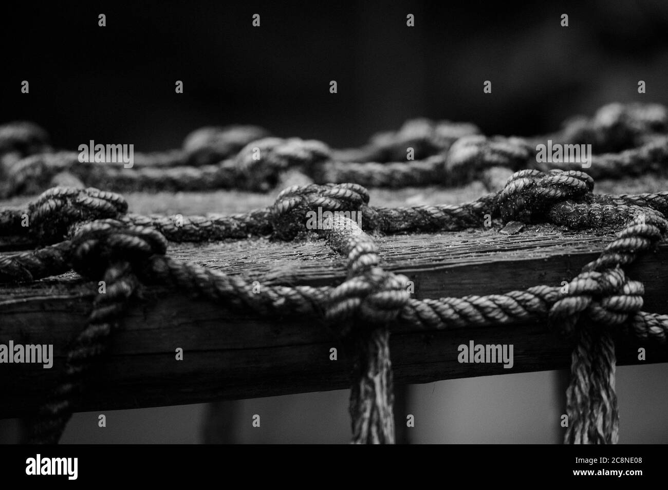 Premium Photo  A close up of a black rope with a dark background