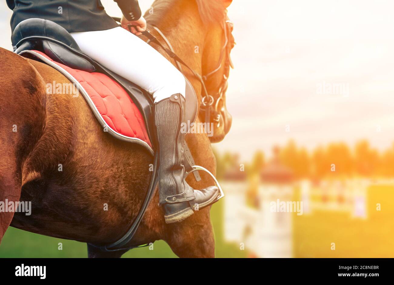 Horse riding closeup on show jumping field, toned image Stock Photo