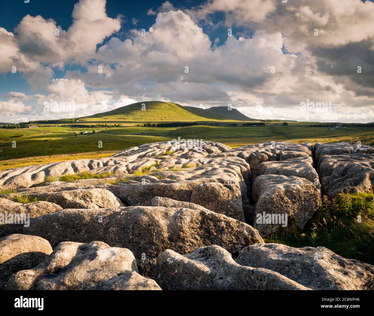 Looking accross the limestone pavement to Park Fell and Inglebourgh beyond on a summers evening. Stock Photo