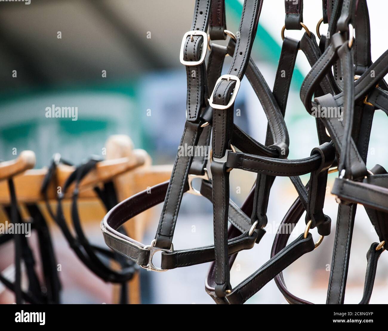 Horse leather halters on market stall Stock Photo
