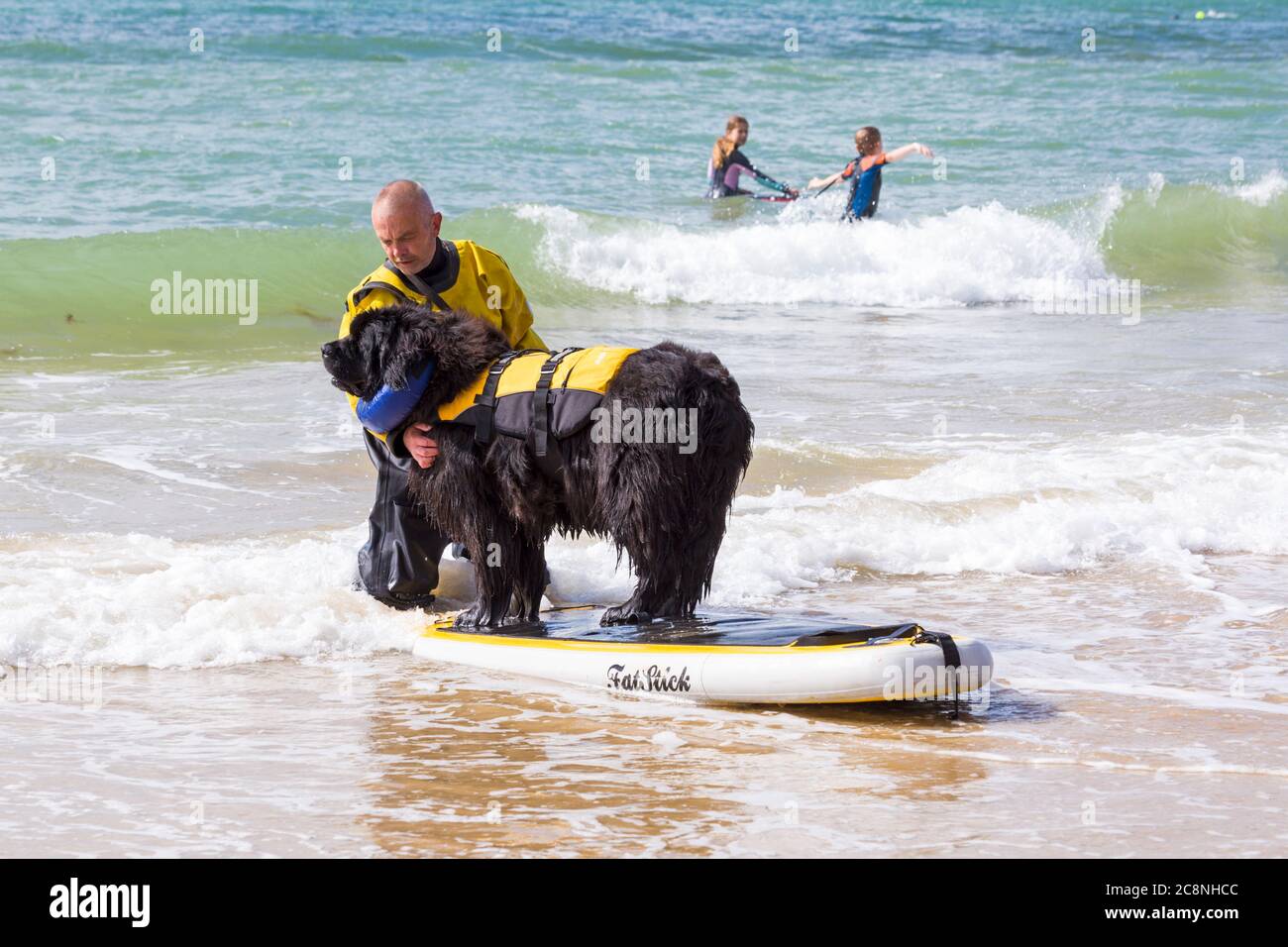 Poole, Dorset UK. 26th July 2020. UK weather: very windy, but warm and sunny with rough waves at Poole beaches. Dogs and their owners have fun in the sea. Dog training - Newfoundland dog learning to paddleboard paddle board. Credit: Carolyn Jenkins/Alamy Live News Stock Photo