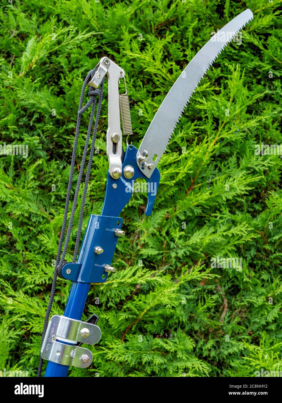 Metal pruner hires stock photography and images Alamy
