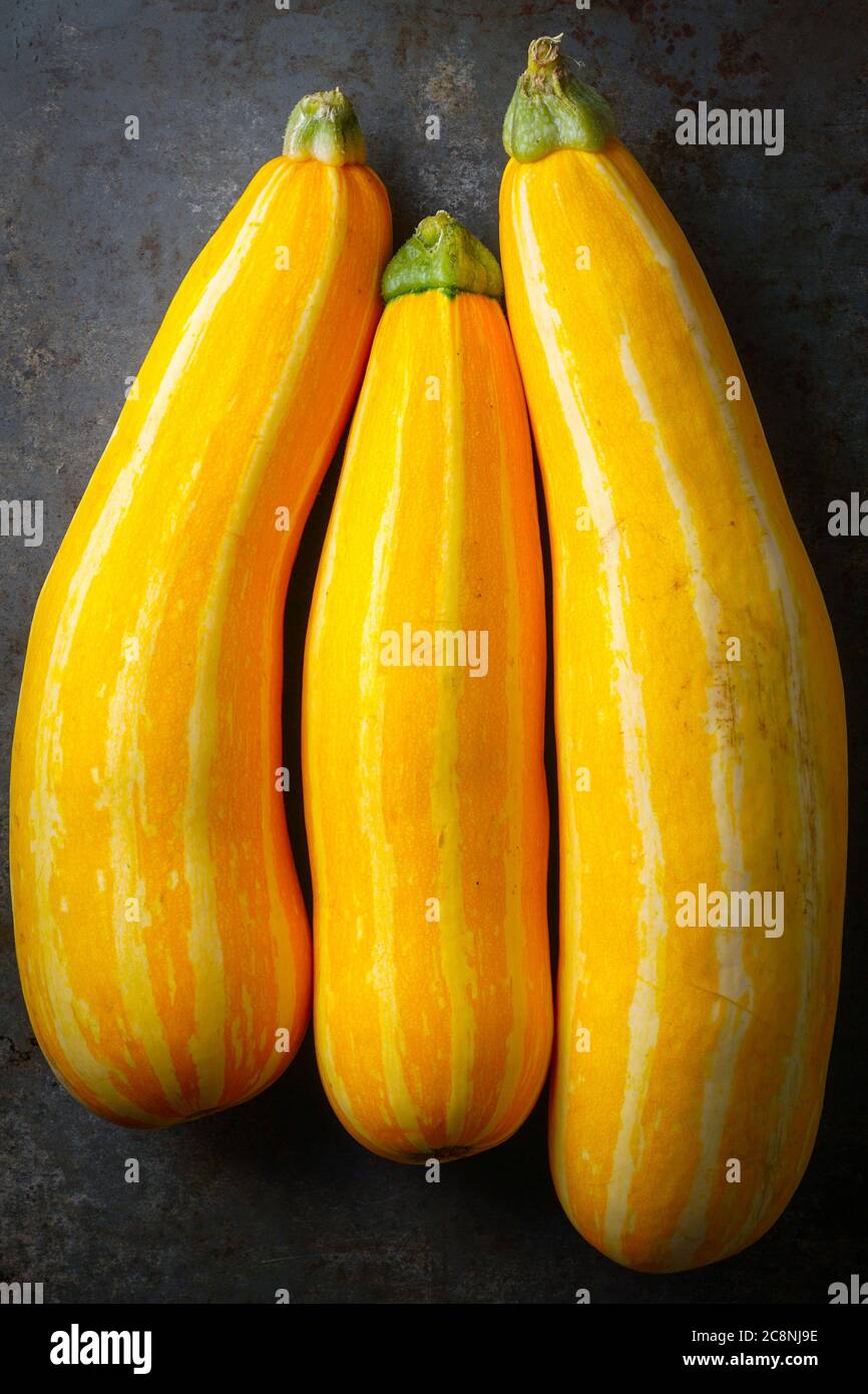 Yellow Crookneck Squash Stock Photo Alamy