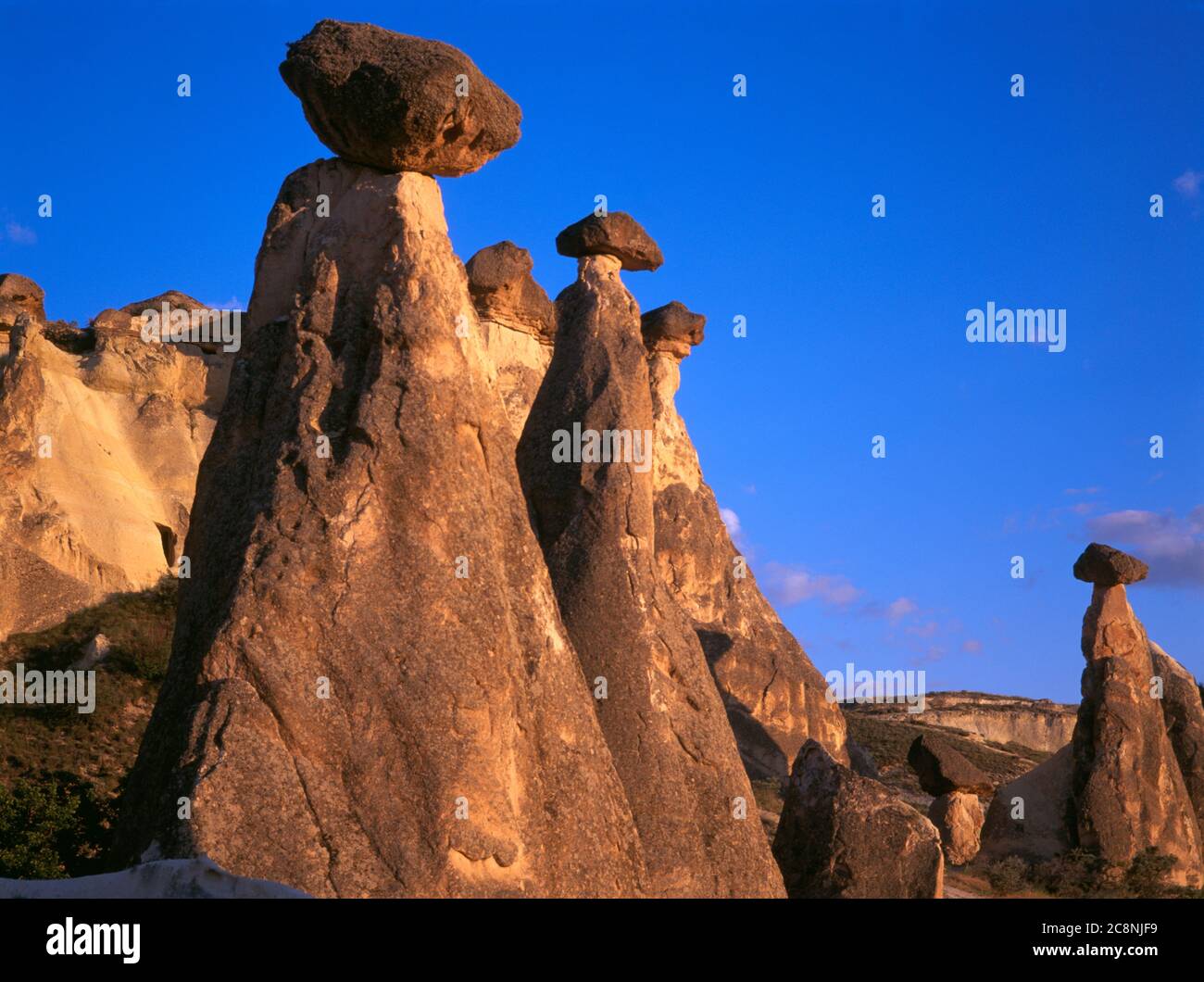 Rock Mushrooms High Resolution Stock Photography and Images - Alamy