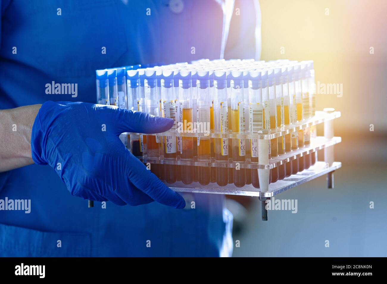 Medical workers, laboratory assistants work with test tubes for the