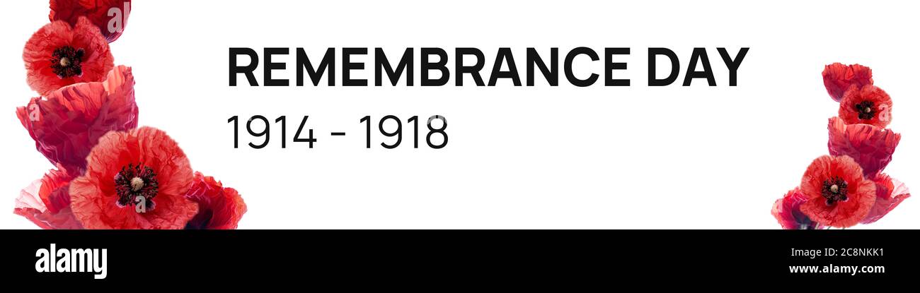 Remembrance day banner with red poppy flowers against white background ...