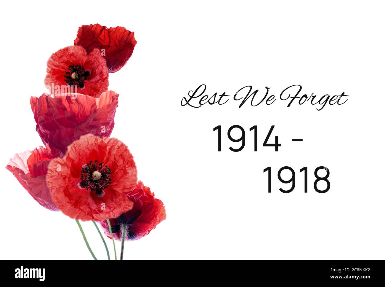 Remembrance day banner with red poppy flowers against white background.  Memorial for vicrtims of World war Stock Photo - Alamy