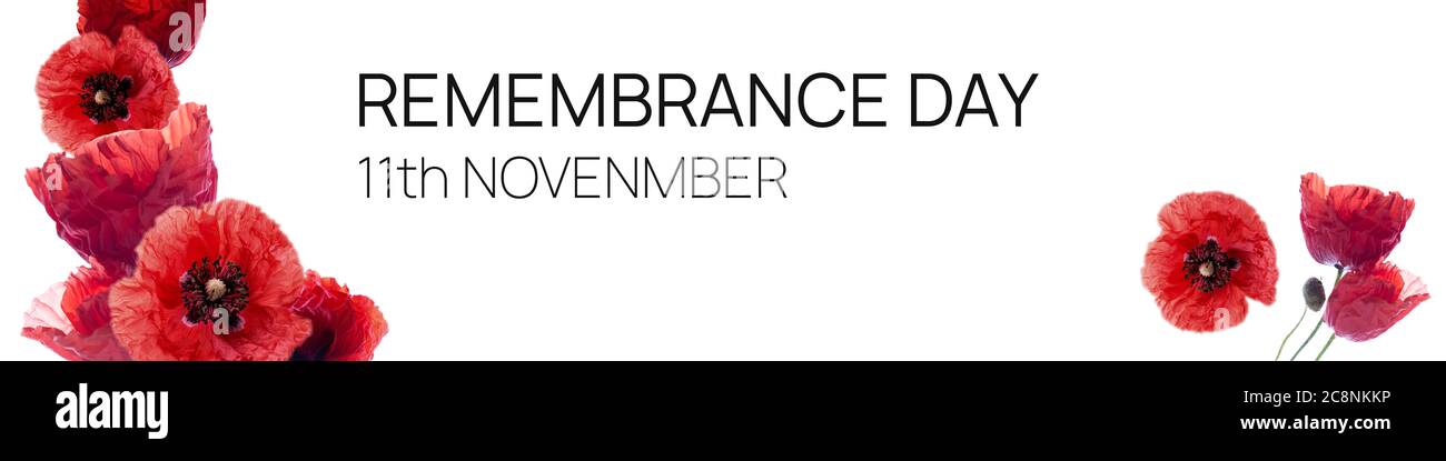 Remembrance day banner with red poppy flowers against white background ...