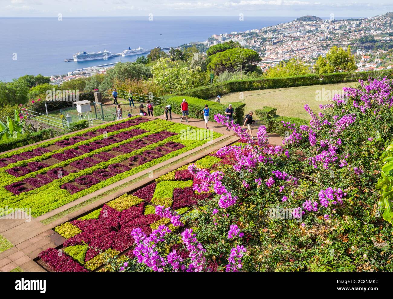 Sunny day at the Botanic Gardens in Funchal, Madeira. Houses in the background and cruise ships in the port. Stock Photo
