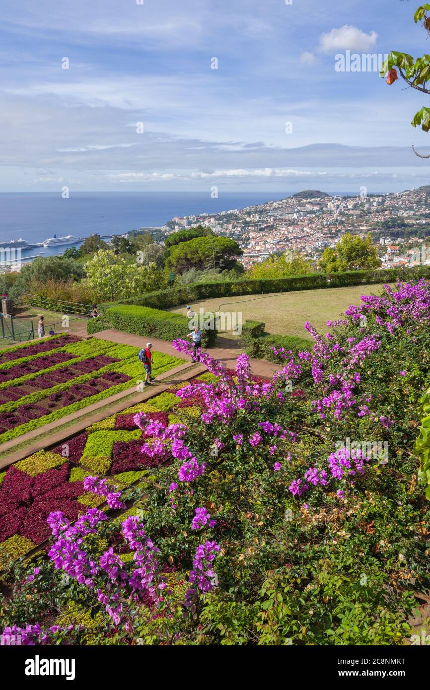 Vertical shot of the Botanic Gardens in Funchal, Madeira. Houses in the background and cruise ships in the port on a sunny day. Stock Photo
