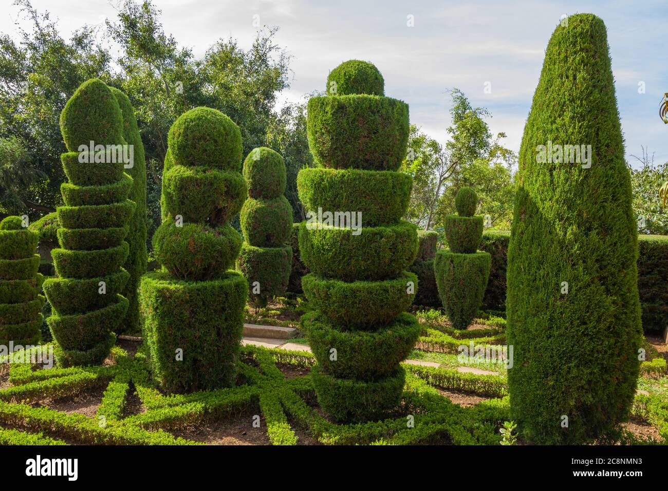 Impressive topiary in the Botanic Gardens at Funchal, Madeira Stock Photo