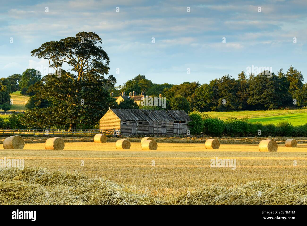 Scenic rural landscape (straw bales in farm field after wheat harvest, rustic wooden barn & sunlight on green pastures) - North Yorkshire, England UK. Stock Photo