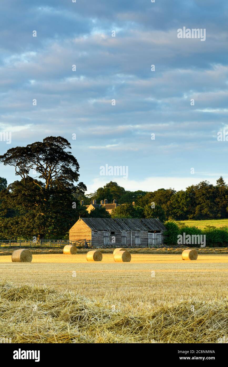 Scenic rural landscape (straw bales in farm field after wheat harvest, sunlight on rustic wooden barn & evening sky) - North Yorkshire, England UK. Stock Photo