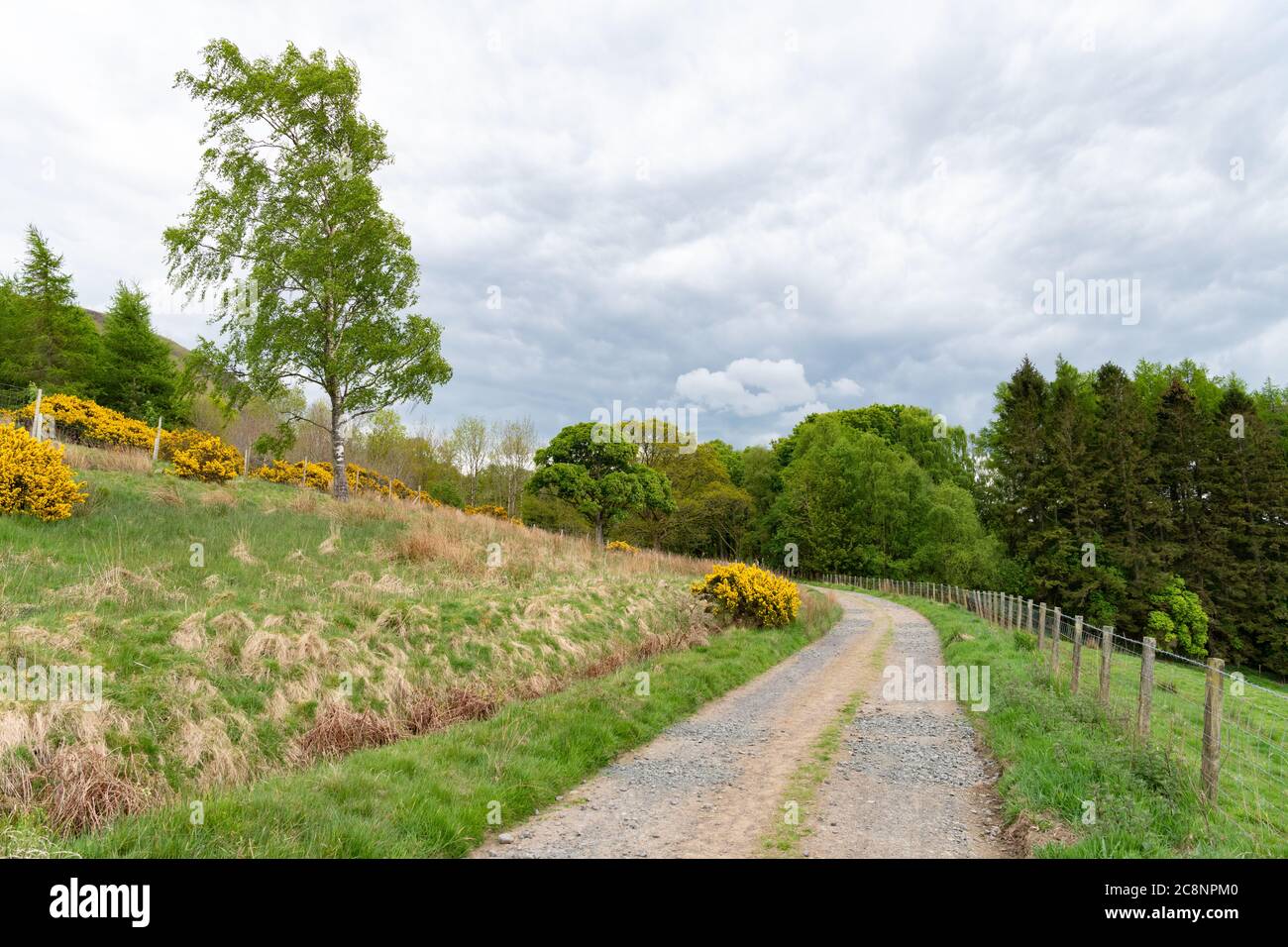 Campsie Fells High Resolution Stock Photography And Images Alamy
