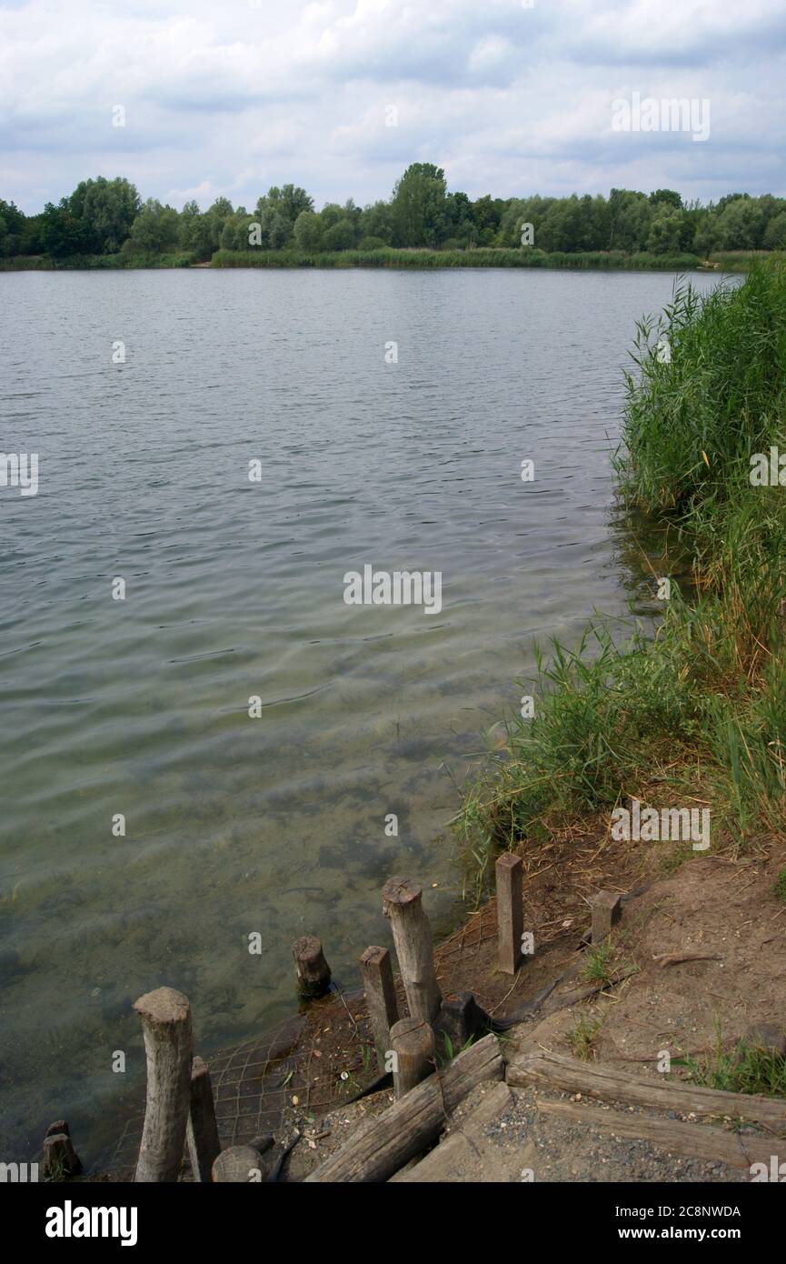 Spektesee, östliches Ufer, im Falkenhagener Feld / Spektefeld in Berlin-Spandau Stock Photo