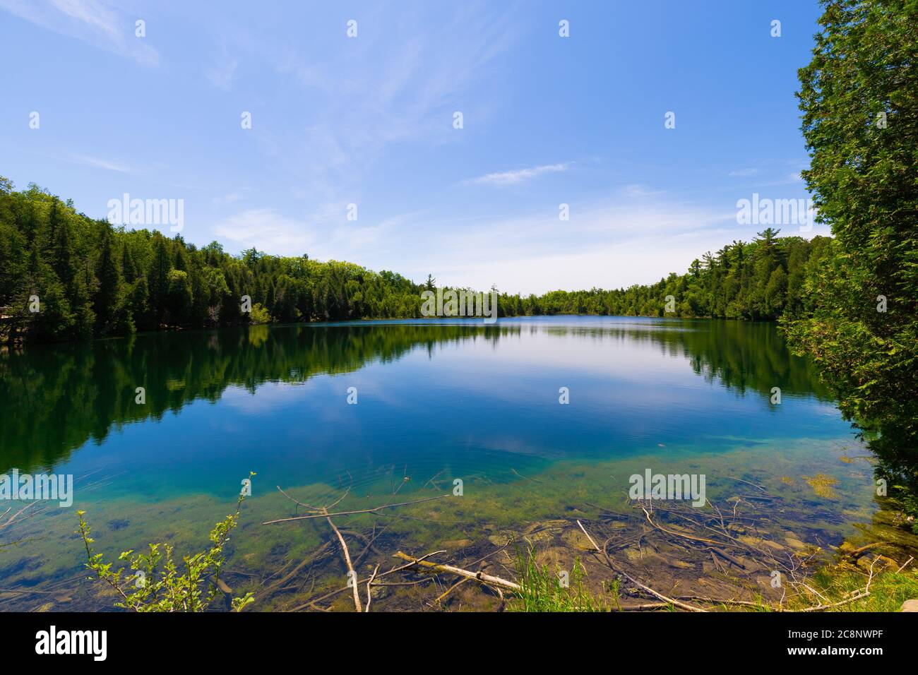 Lake with trees and blue sky Stock Photo - Alamy