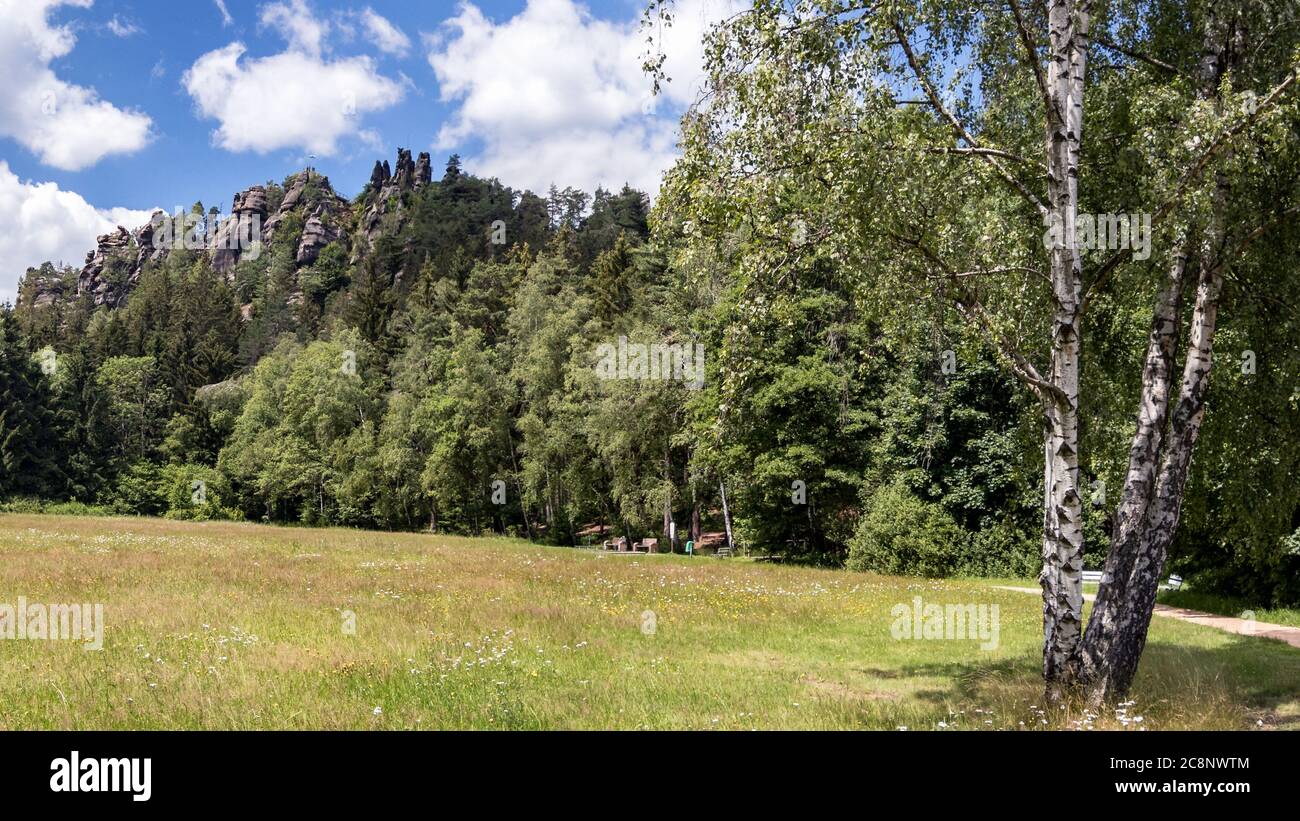 Summer meadow on the way to the nuns' rock of Jonsdorf Stock Photo