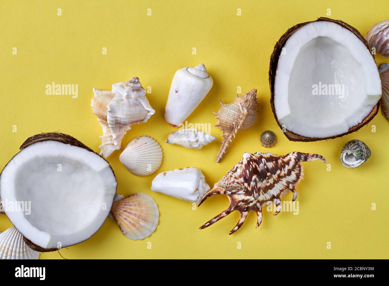 Ripe coconut parts and seashells souvenirs Stock Photo - Alamy