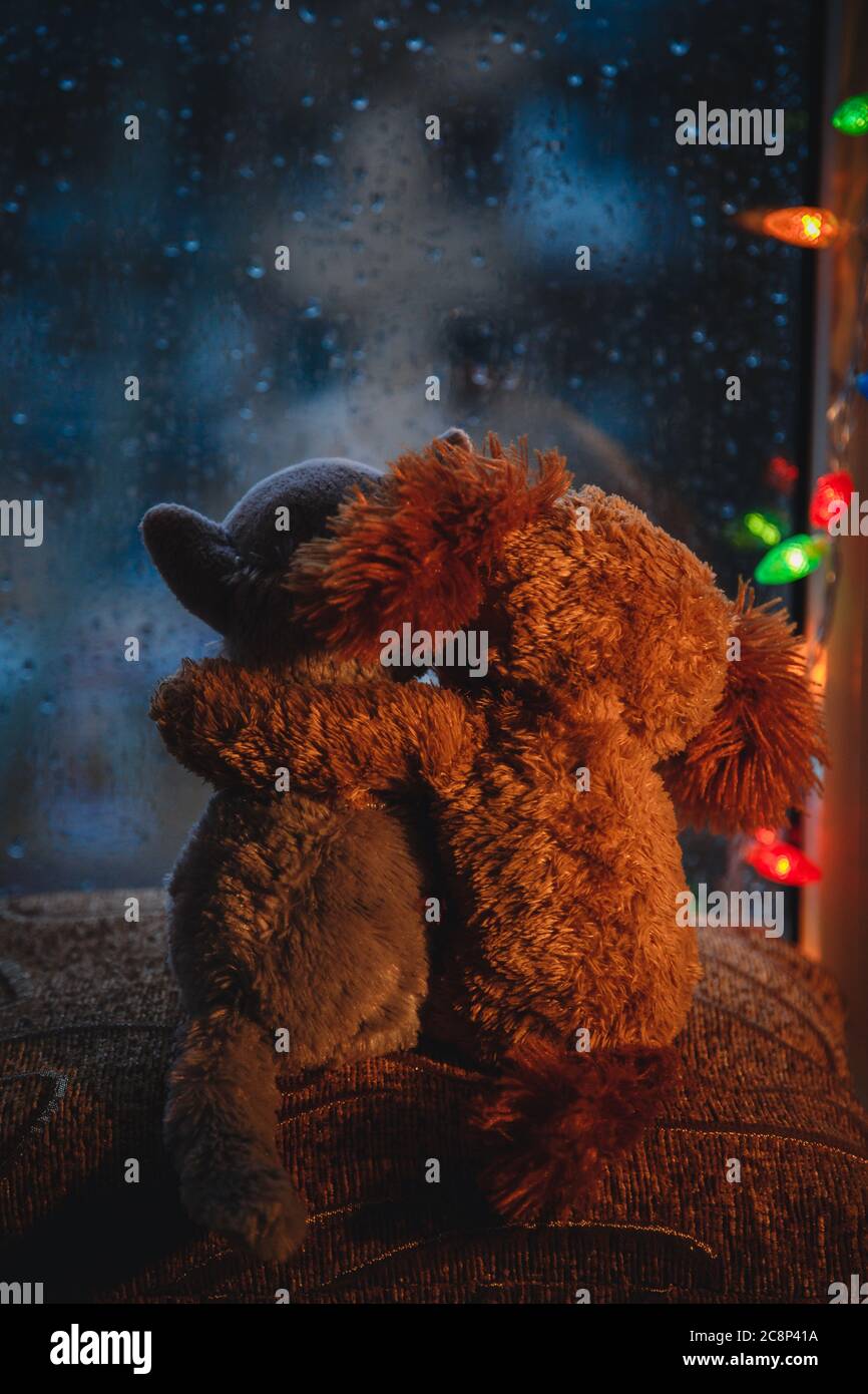 Two embracing loving friends cat and dog toys hugging sitting on window-sill, looking in the window. Raining outside. Christmas light Stock Photo
