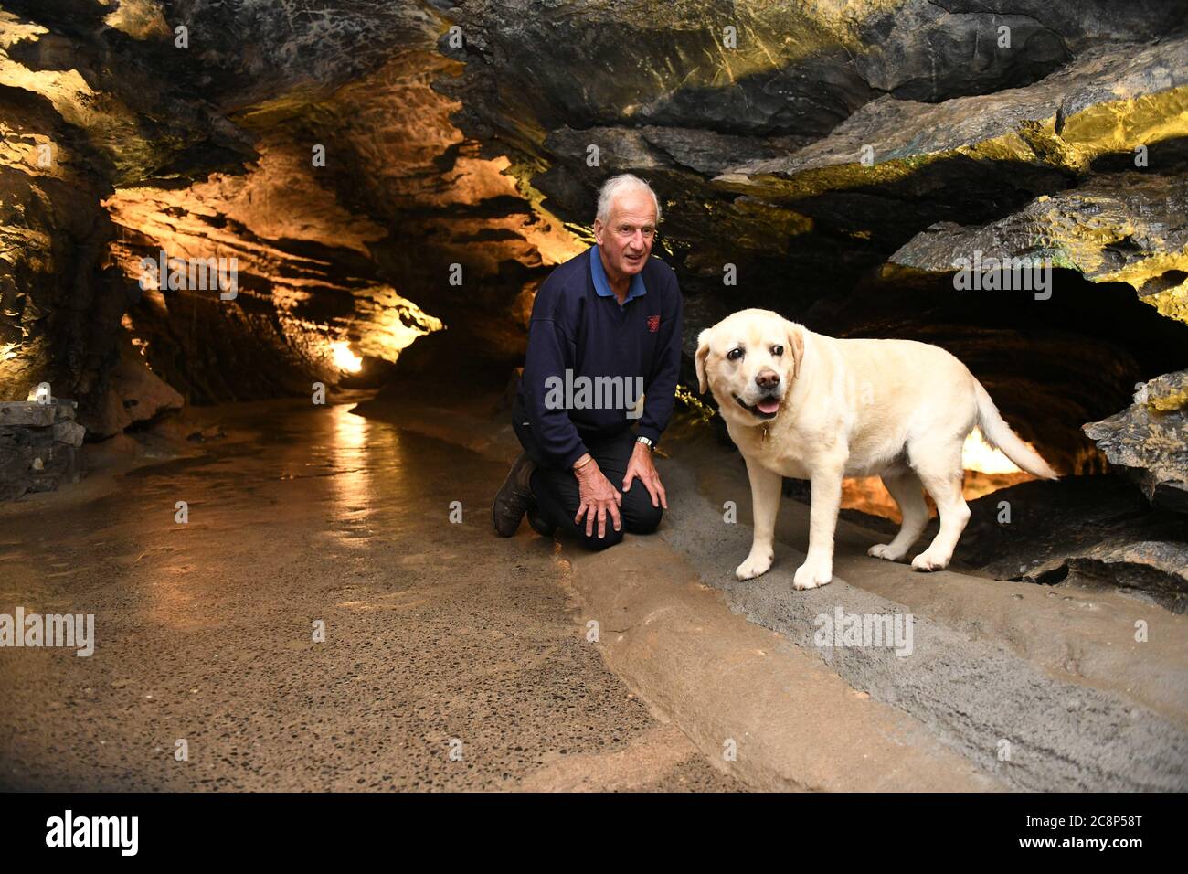 are dogs allowed in dan yr ogof caves