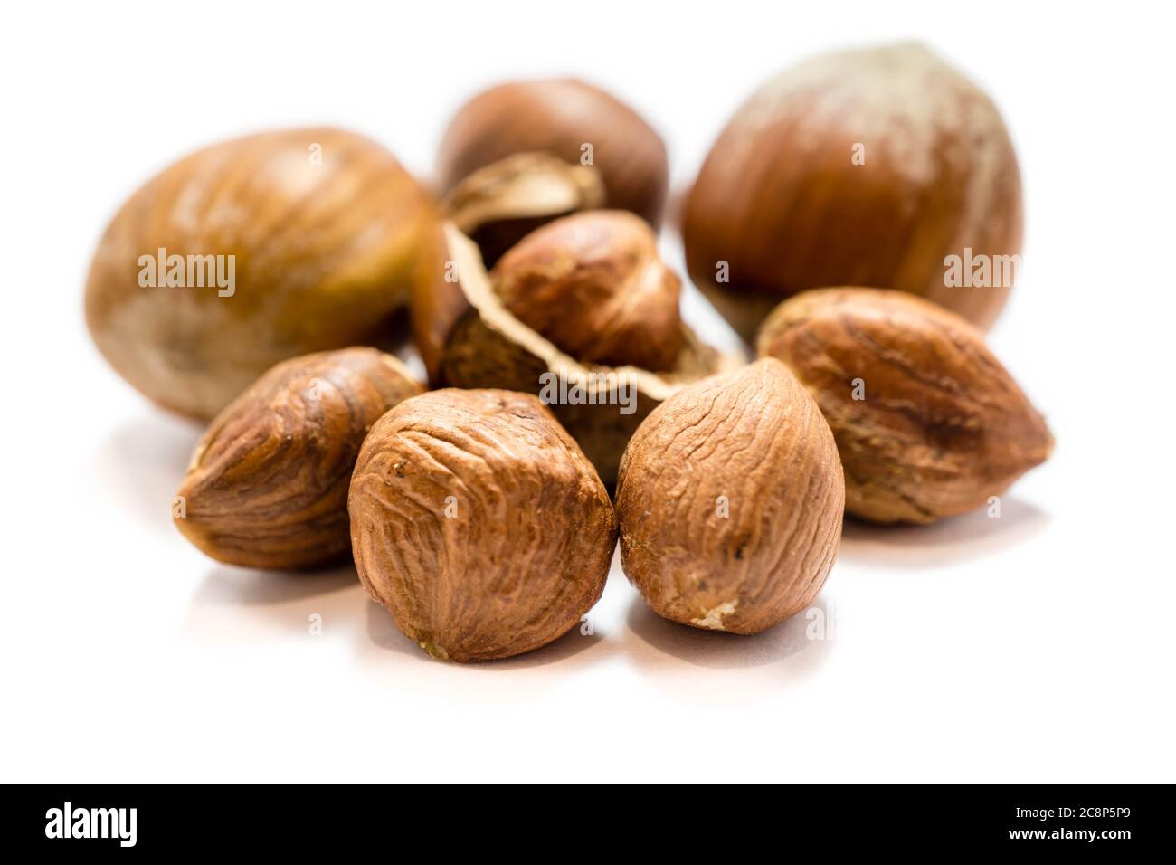 Hazelnut isolated on white background Stock Photo