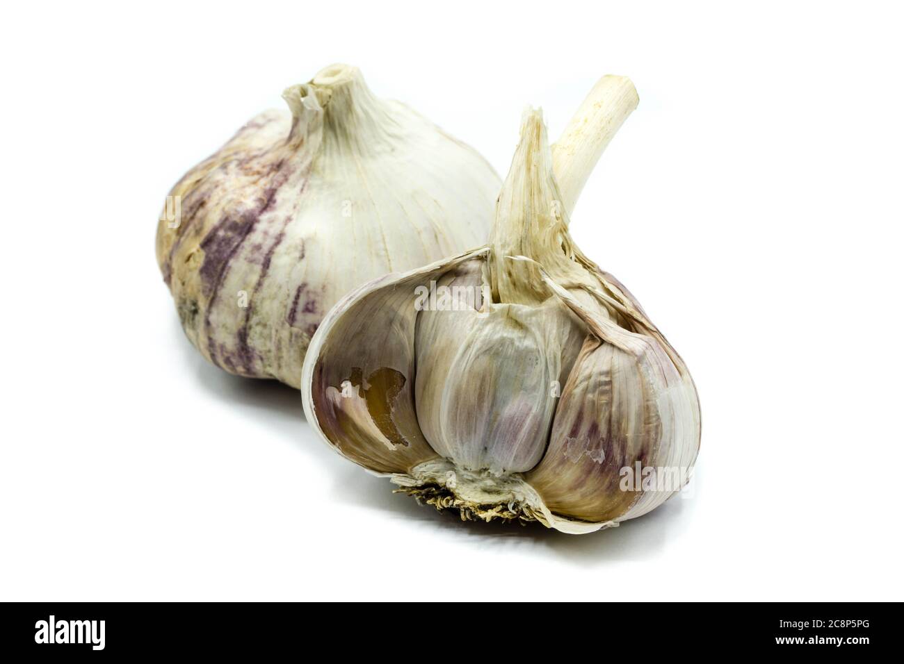Garlic isolated on white background Stock Photo
