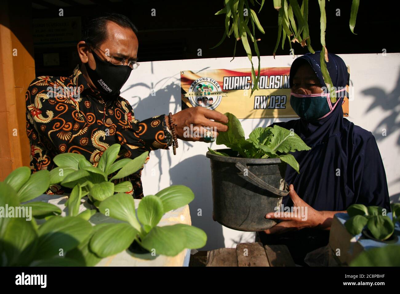 Bekasi, Indonesia. 26th July, 2020. Citizens' activities maintain hydroponic plants in Co-19 Allert Village, Citizens Association (Rukun Warga) 022, Rawa Pasung, Kota Baru, West Bekasi, West Java, Indonesia, Sunday (07/26/2020). Cultivating hydroponic plants and maintaining catfish in each neighborhood, including one of the initiatives to help residents affected by Covid-19. (Photo by Kuncoro Widyo Rumpoko/Pacific Press) Credit: Pacific Press Agency/Alamy Live News Stock Photo