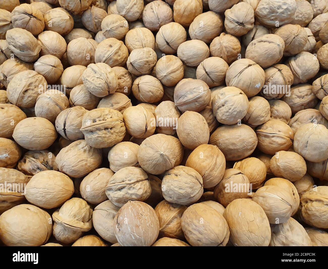 Lots of inshell walnuts.  Brown walnuts are heaped in a large pile after harvest. Stock Photo