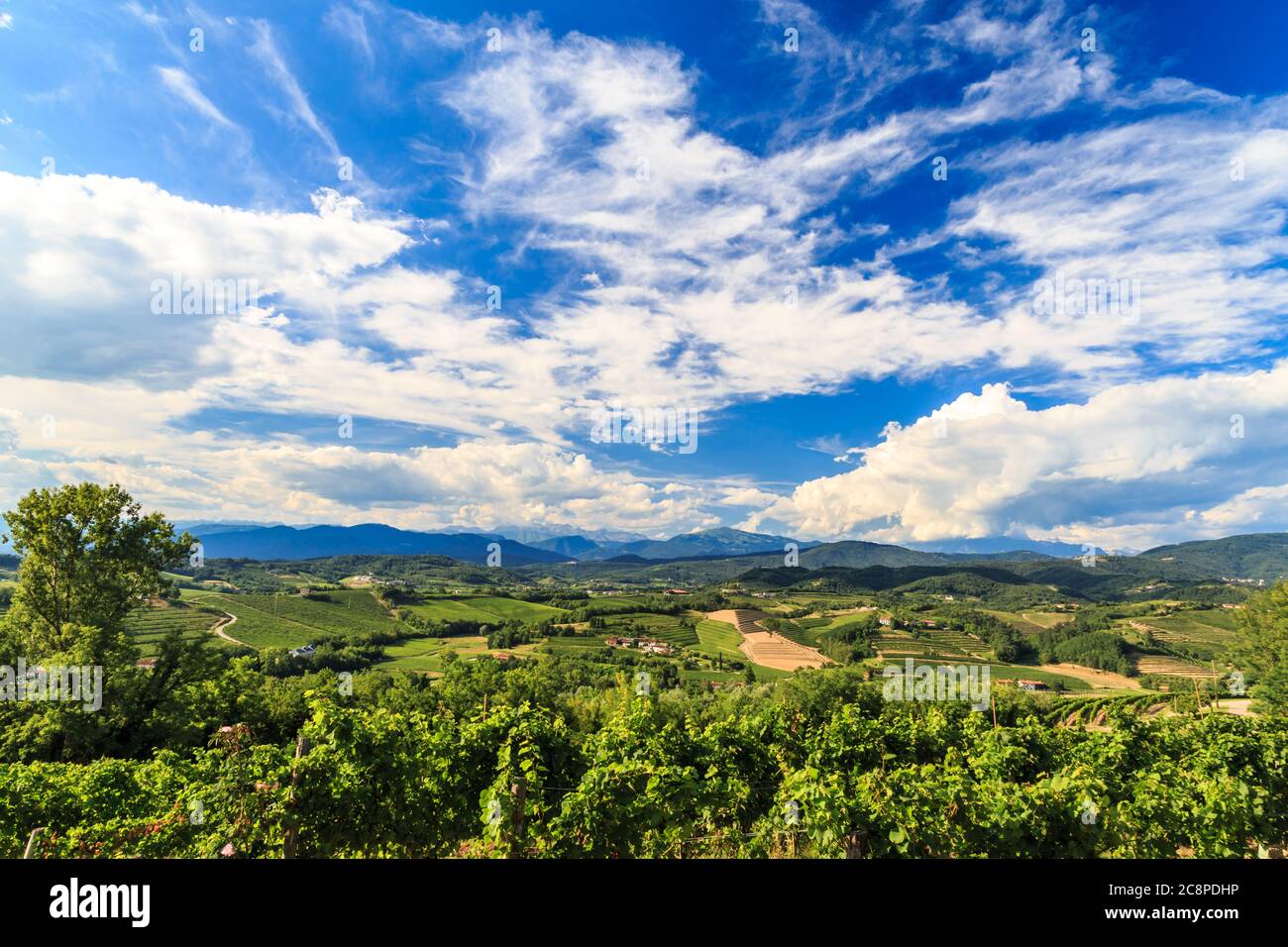 Italy slovenia border vineyard hi-res stock photography and images - Alamy