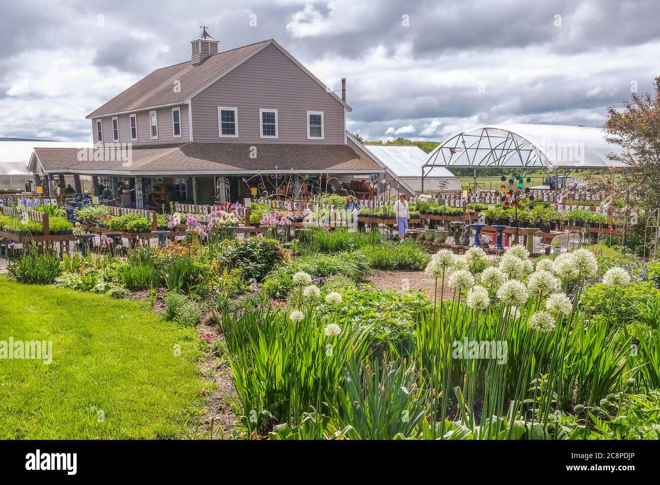 Andrews Greenhouse in Amherst, Massachusetts Stock Photo Alamy
