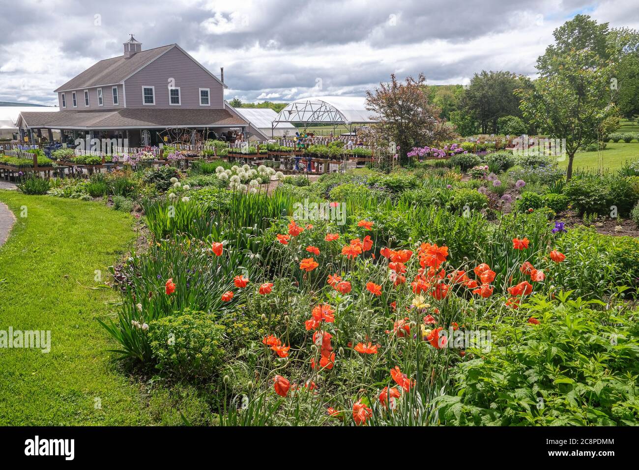 Small garden greenhouse plants hires stock photography and images Alamy