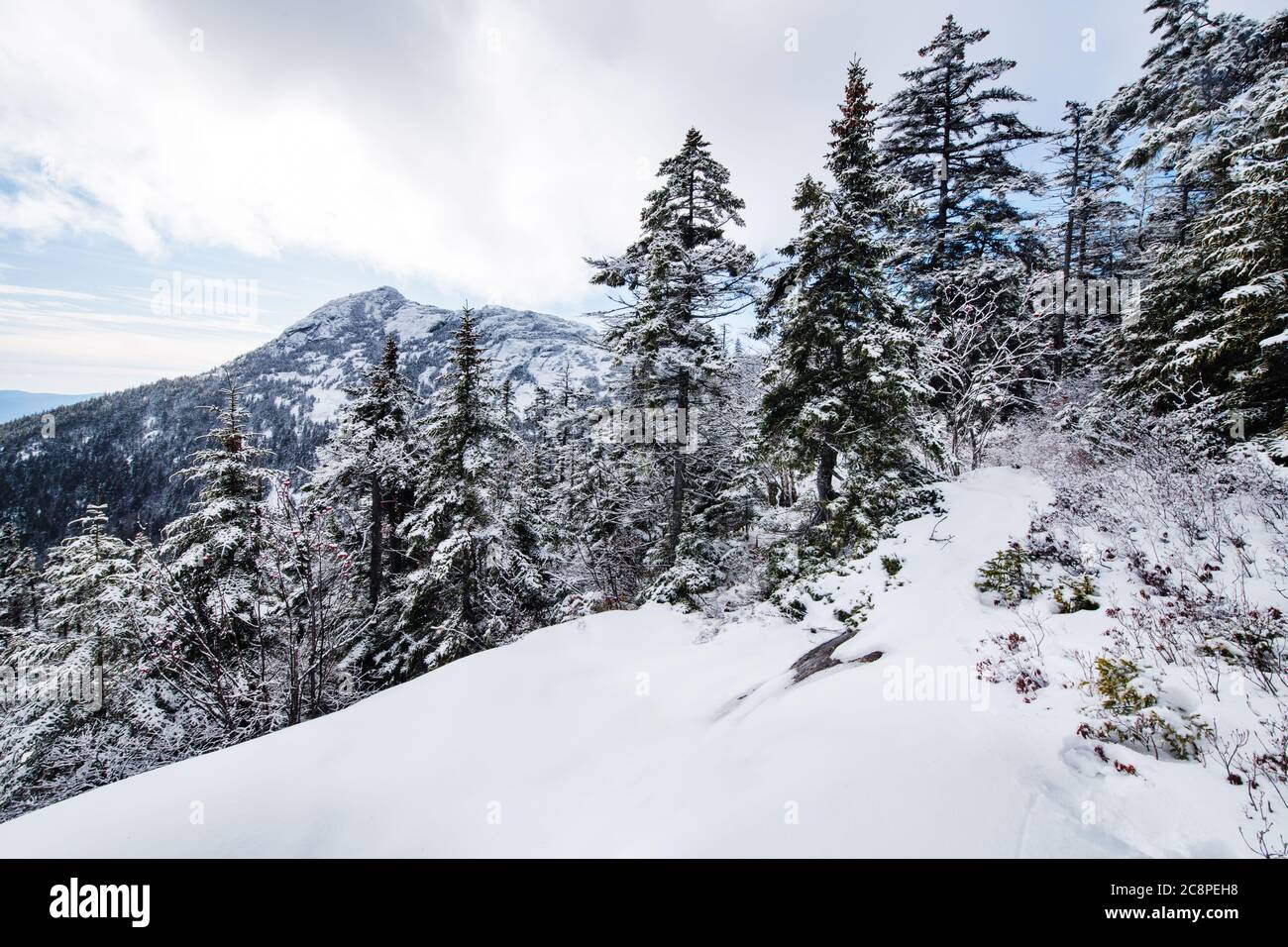 New forest hampshire snow hi-res stock photography and images - Alamy