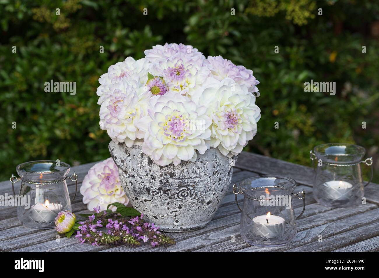 bouquet of white and purple dahlias and table lanterns as romantic decoration Stock Photo