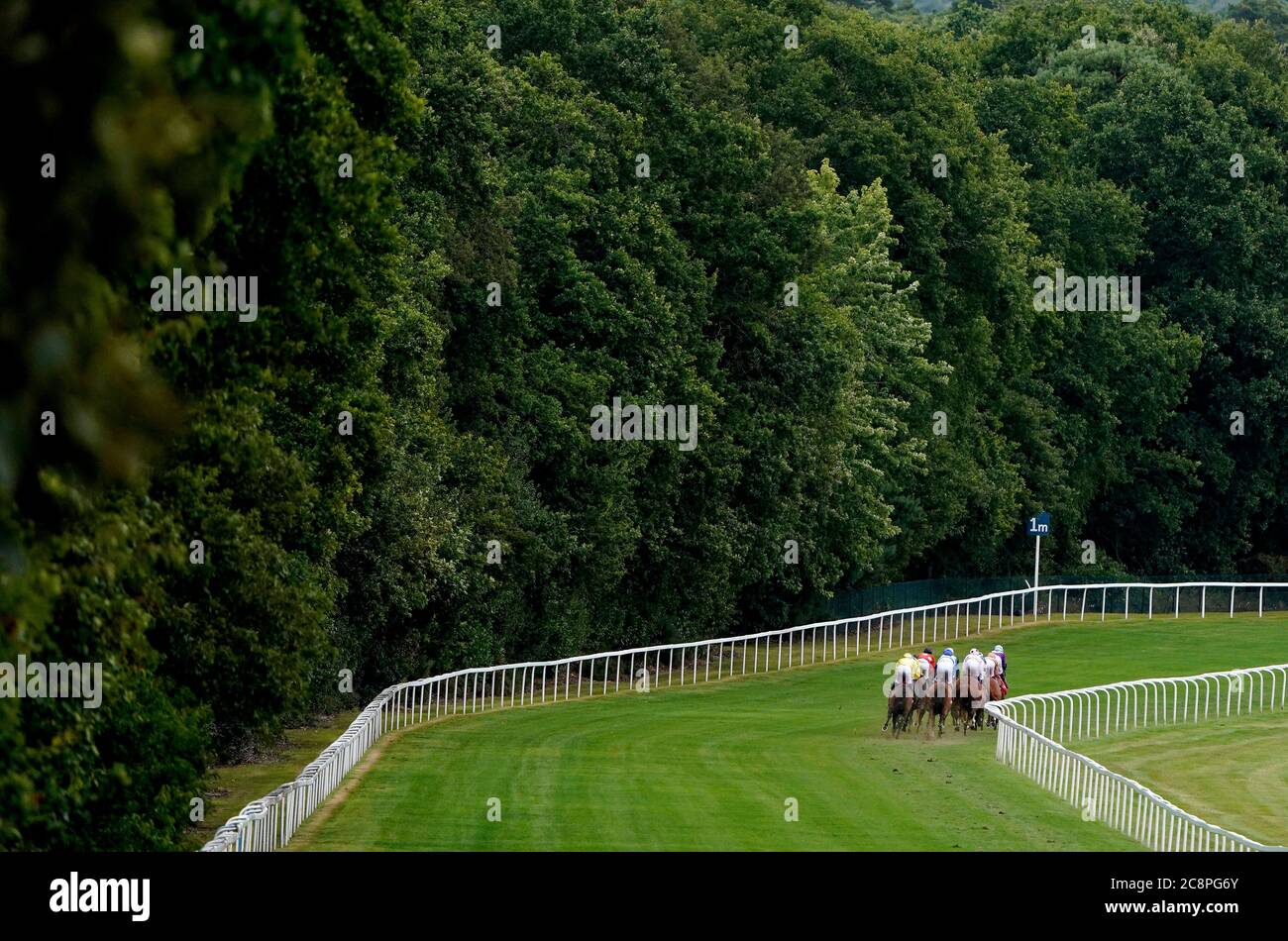 Runners and riders compete in the Betfred 'Fred's Pushes' Handicap at Ascot Racecourse. Stock Photo