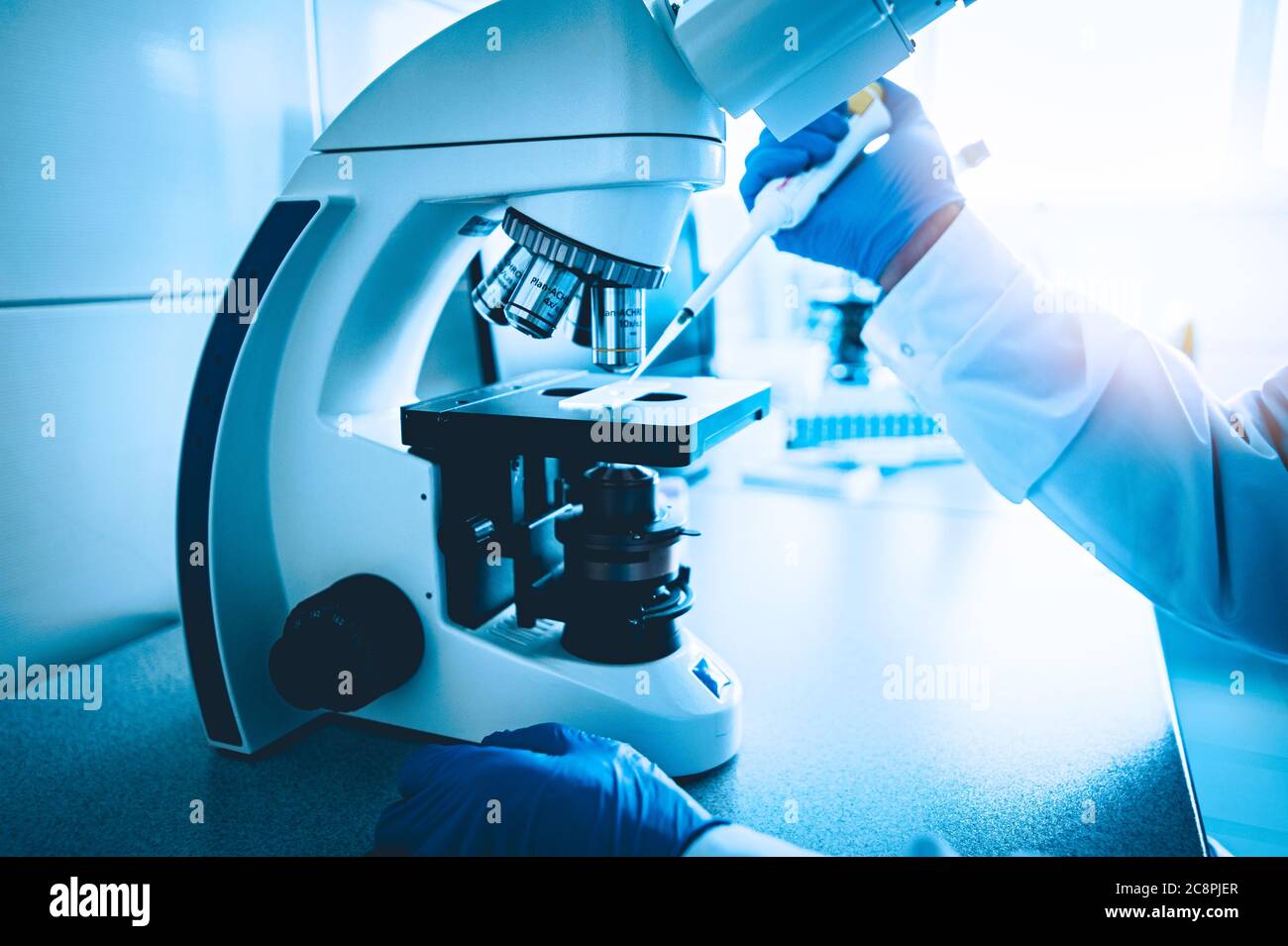 Cytological and morphological examination in the laboratory Stock Photo